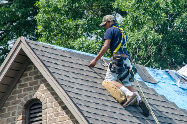 Best Metal Roofing Contractor  in Rochester, MI